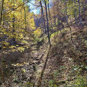 Photo #55 of Off White Rock Gap Rd, Covington, VA 302.9 acres