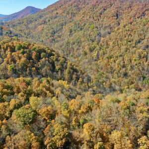 Photo #58 of Off White Rock Gap Rd, Covington, VA 302.9 acres
