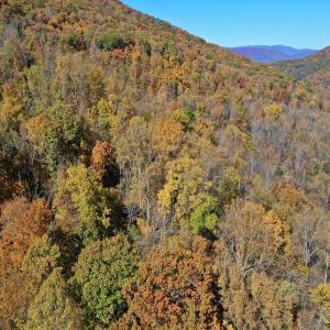 Photo #59 of Off White Rock Gap Rd, Covington, VA 302.9 acres
