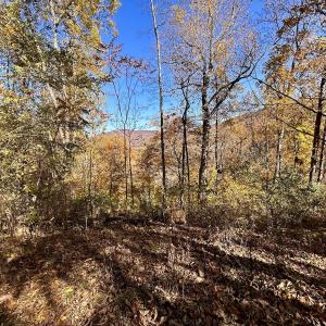 Photo #61 of Off White Rock Gap Rd, Covington, VA 302.9 acres