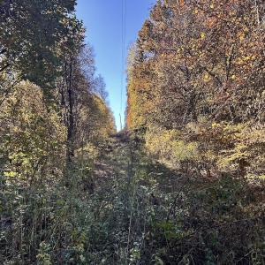 Photo #62 of Off White Rock Gap Rd, Covington, VA 302.9 acres