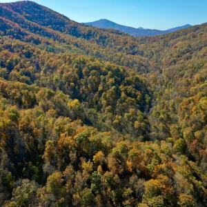 Photo #64 of Off White Rock Gap Rd, Covington, VA 302.9 acres