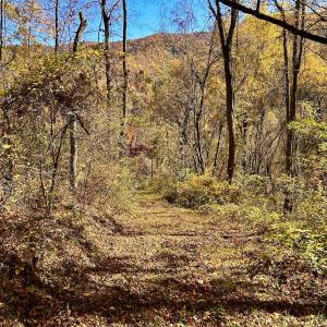 Photo #65 of Off White Rock Gap Rd, Covington, VA 302.9 acres