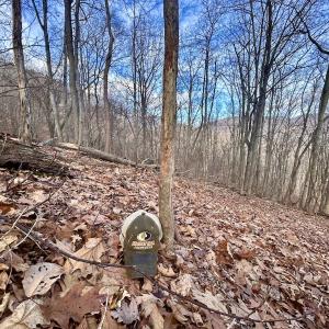 Photo #66 of Off White Rock Gap Rd, Covington, VA 302.9 acres