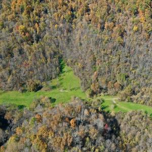 Photo #68 of Off White Rock Gap Rd, Covington, VA 302.9 acres
