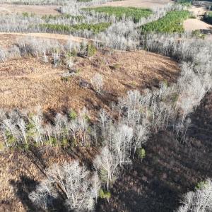 Photo #2 of Off of Green Level Road, Scottsburg, VA 153.4 acres