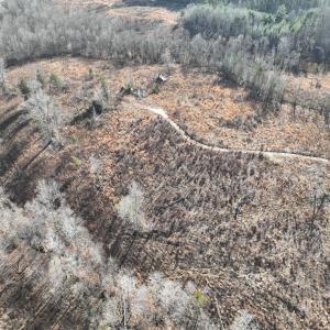 Photo #9 of Off of Green Level Road, Scottsburg, VA 153.4 acres