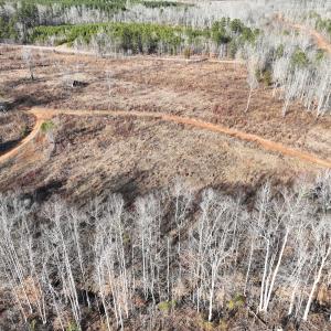 Photo #11 of Off of Green Level Road, Scottsburg, VA 153.4 acres