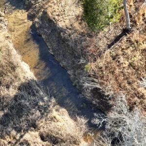Photo #12 of Off of Green Level Road, Scottsburg, VA 153.4 acres