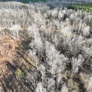 Photo #14 of Off of Green Level Road, Scottsburg, VA 153.4 acres