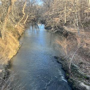 Photo #15 of Off of Green Level Road, Scottsburg, VA 153.4 acres