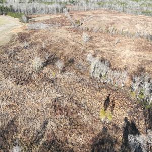 Photo #3 of Off of Green Level Road, Scottsburg, VA 153.4 acres