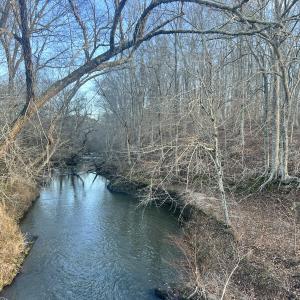 Photo #4 of Off of Green Level Road, Scottsburg, VA 153.4 acres