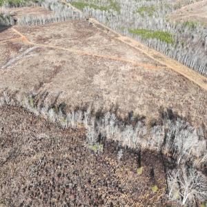 Photo #5 of Off of Green Level Road, Scottsburg, VA 153.4 acres
