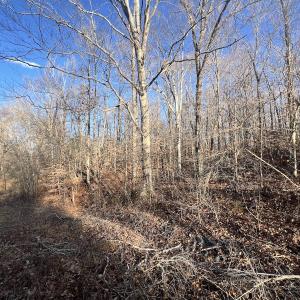 Photo #6 of Off of Green Level Road, Scottsburg, VA 153.4 acres
