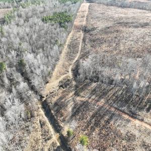Photo #19 of Off of Green Level Road, Scottsburg, VA 153.4 acres