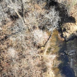 Photo #20 of Off of Green Level Road, Scottsburg, VA 153.4 acres