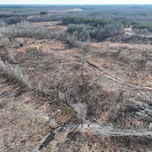 Photo #23 of Off of Green Level Road, Scottsburg, VA 153.4 acres