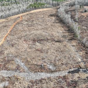 Photo #24 of Off of Green Level Road, Scottsburg, VA 153.4 acres