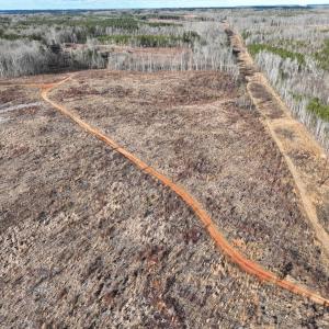Photo #27 of Off of Green Level Road, Scottsburg, VA 153.4 acres