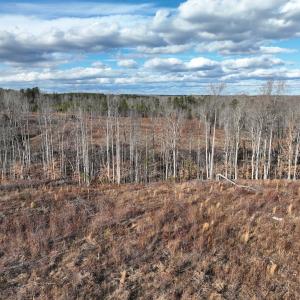Photo #30 of Off of Green Level Road, Scottsburg, VA 153.4 acres