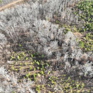 Photo #32 of Off of Green Level Road, Scottsburg, VA 153.4 acres