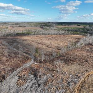 Photo #33 of Off of Green Level Road, Scottsburg, VA 153.4 acres