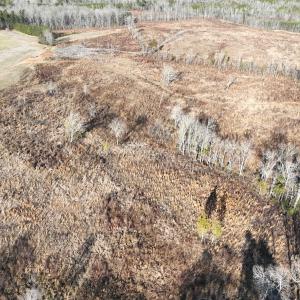 Photo #37 of Off of Green Level Road, Scottsburg, VA 153.4 acres