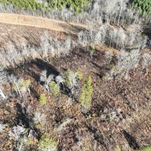 Photo #41 of Off of Green Level Road, Scottsburg, VA 153.4 acres