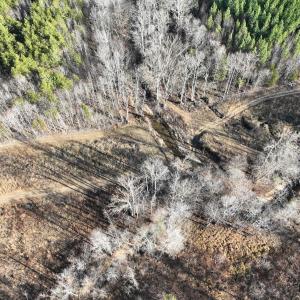 Photo #42 of Off of Green Level Road, Scottsburg, VA 153.4 acres