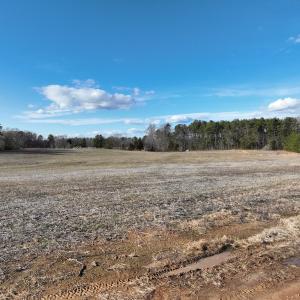 Photo #44 of Off of Green Level Road, Scottsburg, VA 153.4 acres