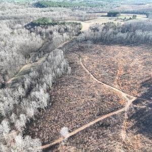 Photo #45 of Off of Green Level Road, Scottsburg, VA 153.4 acres