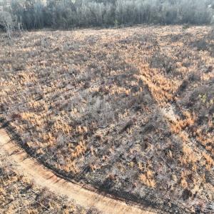 Photo #46 of Off of Green Level Road, Scottsburg, VA 153.4 acres