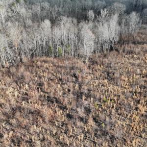 Photo #47 of Off of Green Level Road, Scottsburg, VA 153.4 acres