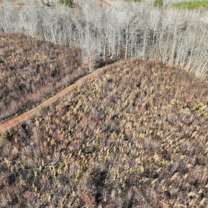 Photo #48 of Off of Green Level Road, Scottsburg, VA 153.4 acres