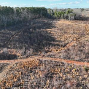 Photo #49 of Off of Green Level Road, Scottsburg, VA 153.4 acres