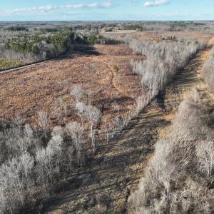 Photo #51 of Off of Green Level Road, Scottsburg, VA 153.4 acres
