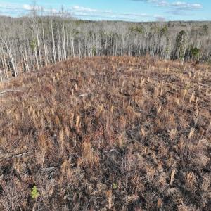 Photo #52 of Off of Green Level Road, Scottsburg, VA 153.4 acres