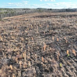 Photo #53 of Off of Green Level Road, Scottsburg, VA 153.4 acres