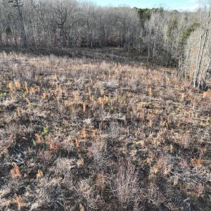 Photo #54 of Off of Green Level Road, Scottsburg, VA 153.4 acres