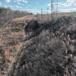 Photo #55 of Off of Green Level Road, Scottsburg, VA 153.4 acres
