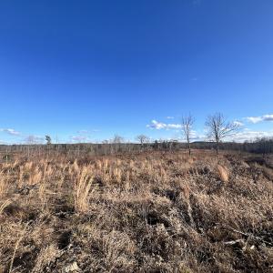 Photo #58 of Off of Green Level Road, Scottsburg, VA 153.4 acres