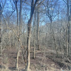 Photo #60 of Off of Green Level Road, Scottsburg, VA 153.4 acres