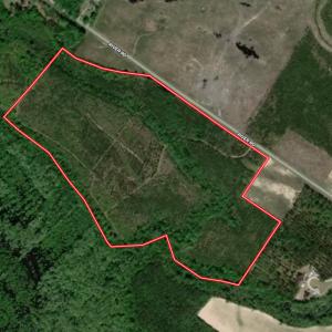 Photo #1 of SOLD property in Off River Rd, Vanceboro, NC 81.5 acres