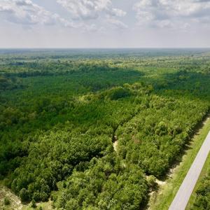 Photo #2 of SOLD property in Off River Rd, Vanceboro, NC 81.5 acres