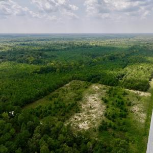 Photo #13 of SOLD property in Off River Rd, Vanceboro, NC 81.5 acres