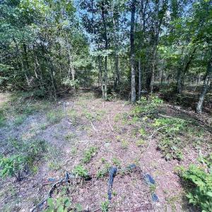 Photo #20 of SOLD property in Off River Rd, Vanceboro, NC 81.5 acres