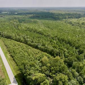 Photo #3 of SOLD property in Off River Rd, Vanceboro, NC 81.5 acres