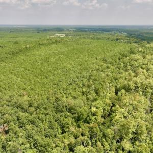 Photo #4 of SOLD property in Off River Rd, Vanceboro, NC 81.5 acres