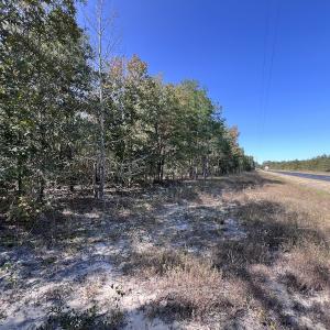 Photo #22 of SOLD property in Off River Rd, Vanceboro, NC 81.5 acres